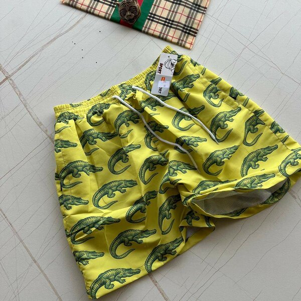 Light Weight Summer Shorts (XL-4XL)