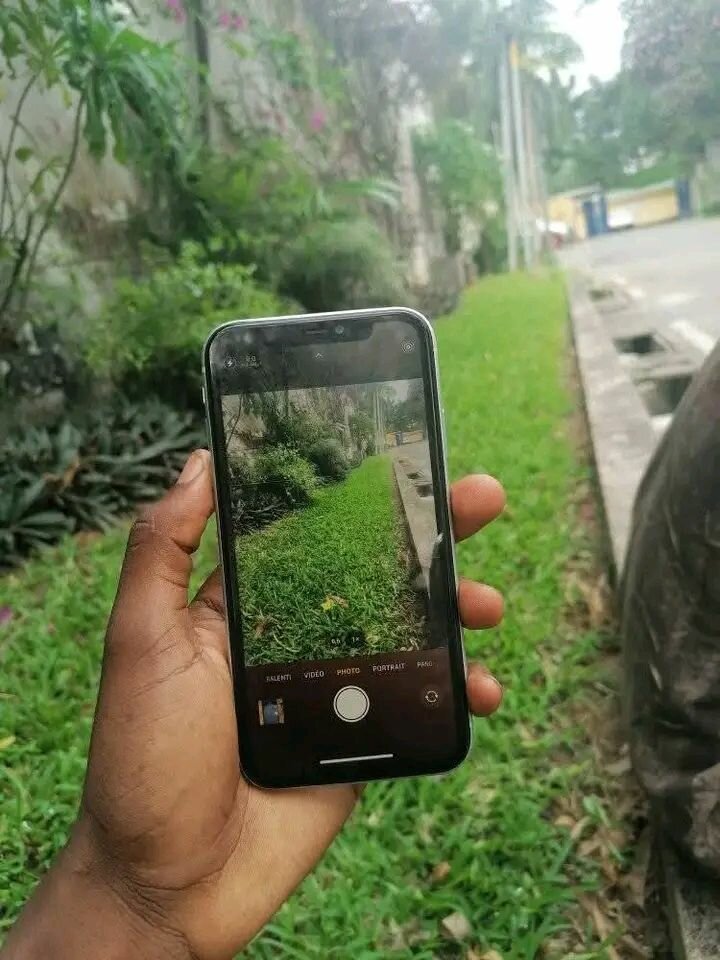 iPhone 11 Vert État Neuf