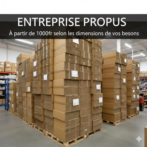 Cartons Emballage Robustes