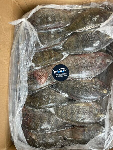 Tilapia (carpe braisé)