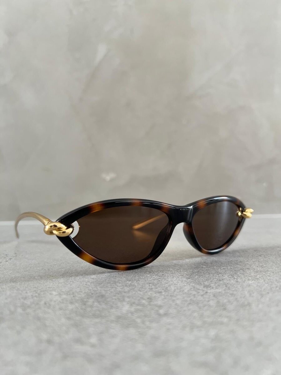 Lunettes de soleil élégantes