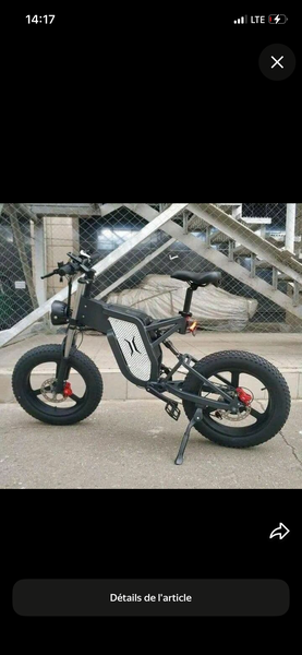 Vélo Électrique Tout-Terrain