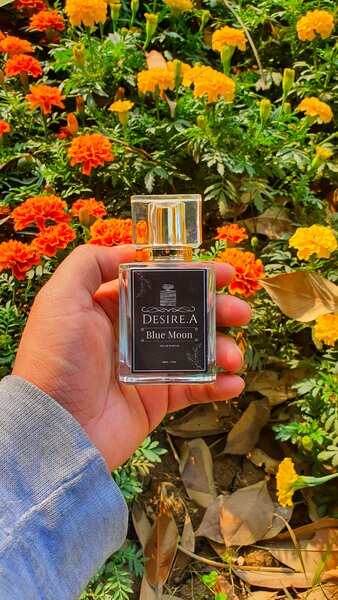 Blue Moon EDP  Inspired by D&G Light Blue