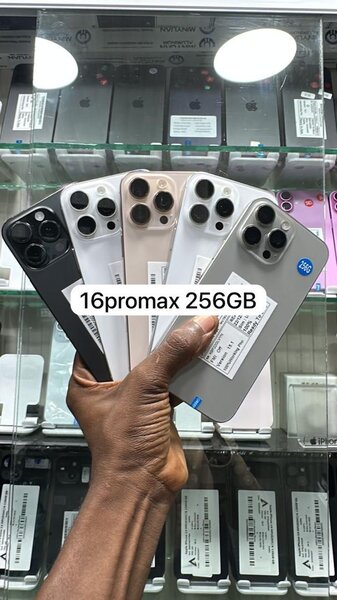 iPhone 16 Pro Max 256 Go