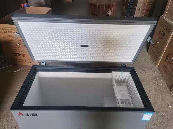 Congélateur coffre grande capacité