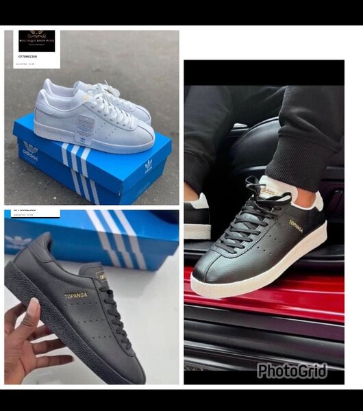 Basket adidas Topanga authentique avec sa boîte