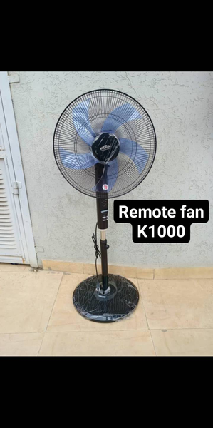 Remote fan