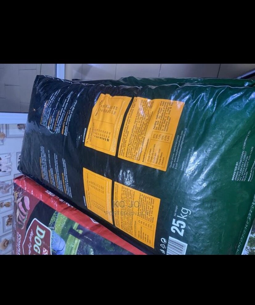 Happy home adult and puppy