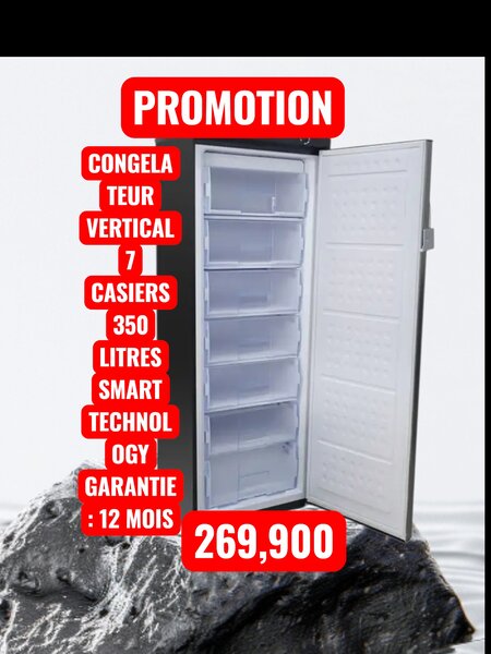 Congélateur Vertical 350L