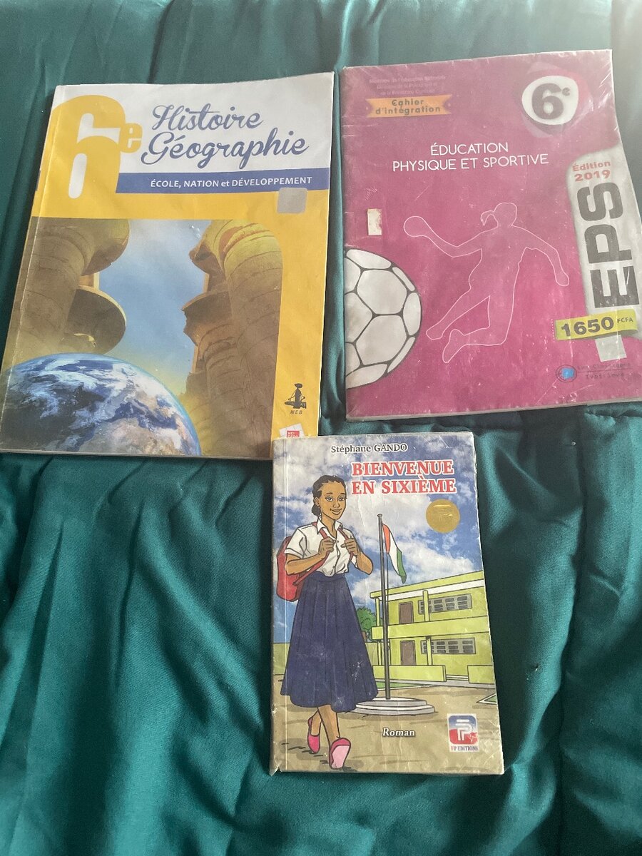 Lot de manuels scolaires 6e