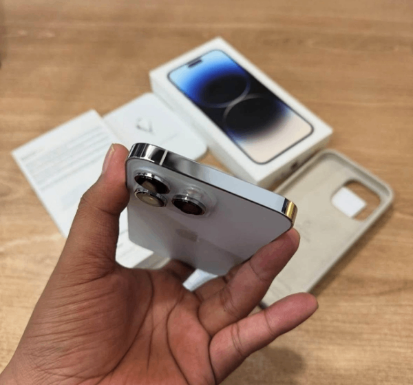 iPhone 13 Pro Max 256 Go Argent