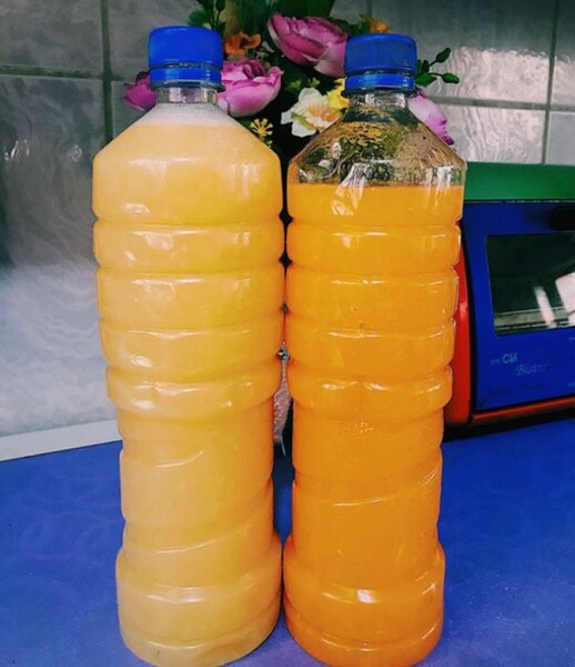 Jus de gingembre 1,5L