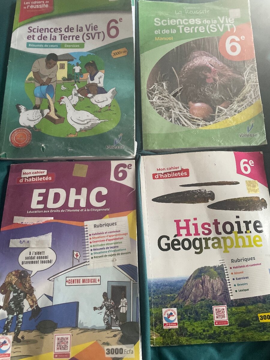 Lot de manuels scolaires 6e