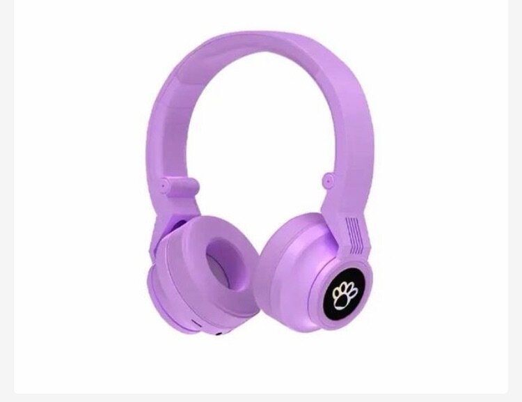 JST- 31 Foldable headphone