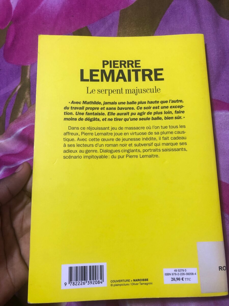 Roman de albin michel