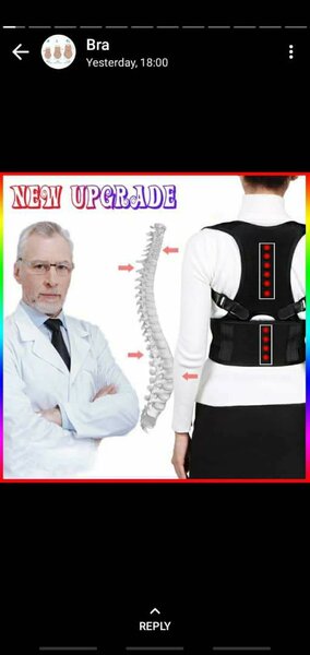 Posture belt