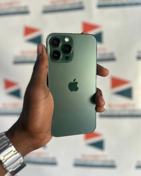  iPhone 13 Pro Max 256GB