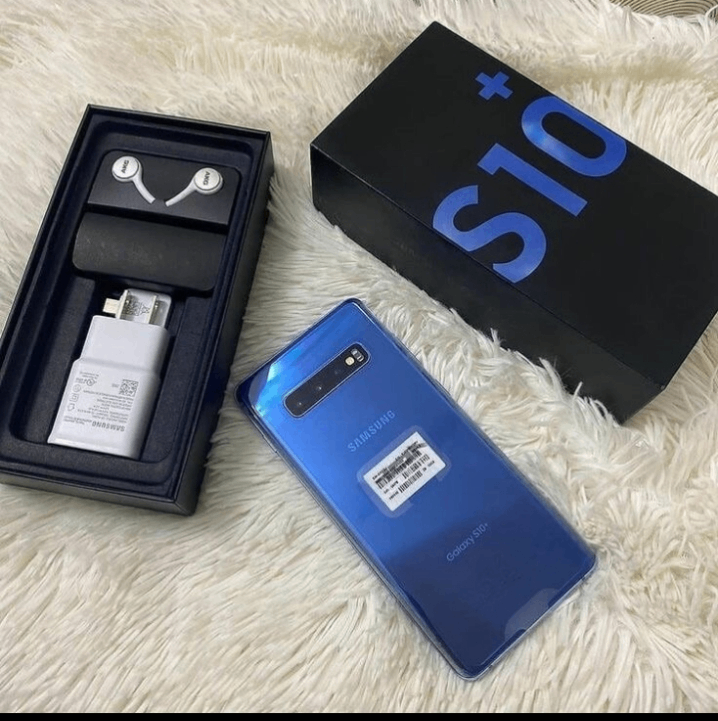 Samsung Galaxy S10+ Bleu