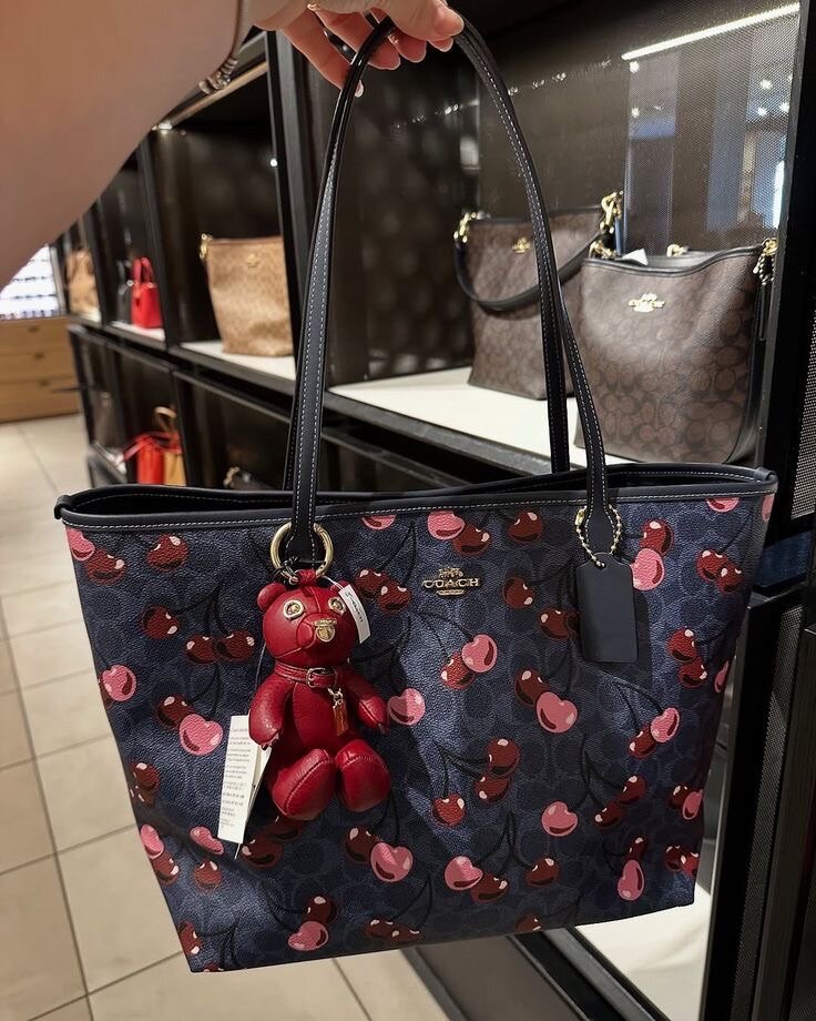 Ladies bag
