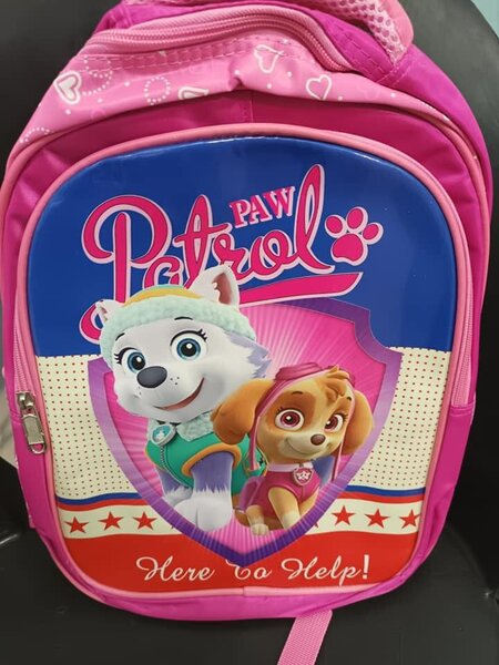 Paw Patrol school bags with cartoon characters
