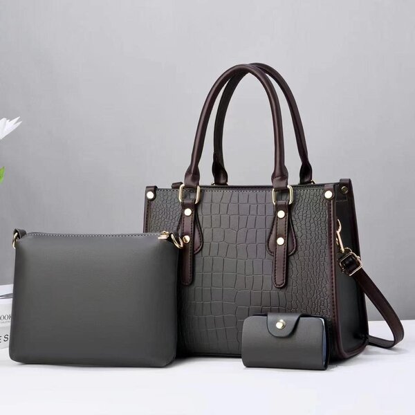 Fashionable Women's Bag + Accessories