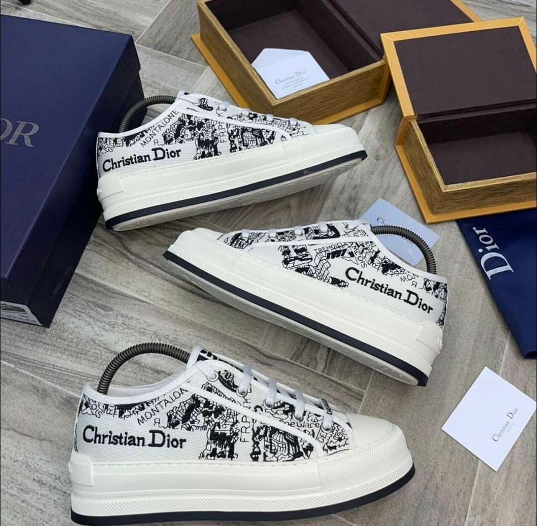 Christian Dior Classic Shoes