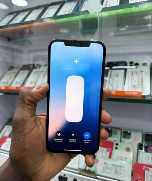 iPhone 13 Pro Max 128Go Bleu