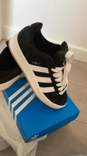 Adidas campus original