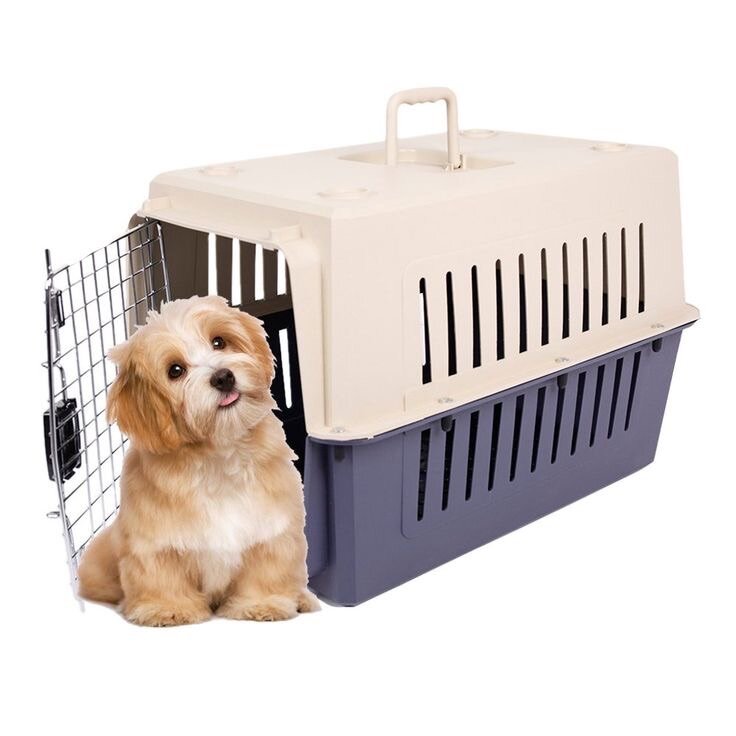 Cage de Transport pour Animaux