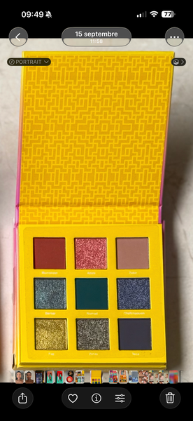 Palette d'Ombres Juvia's