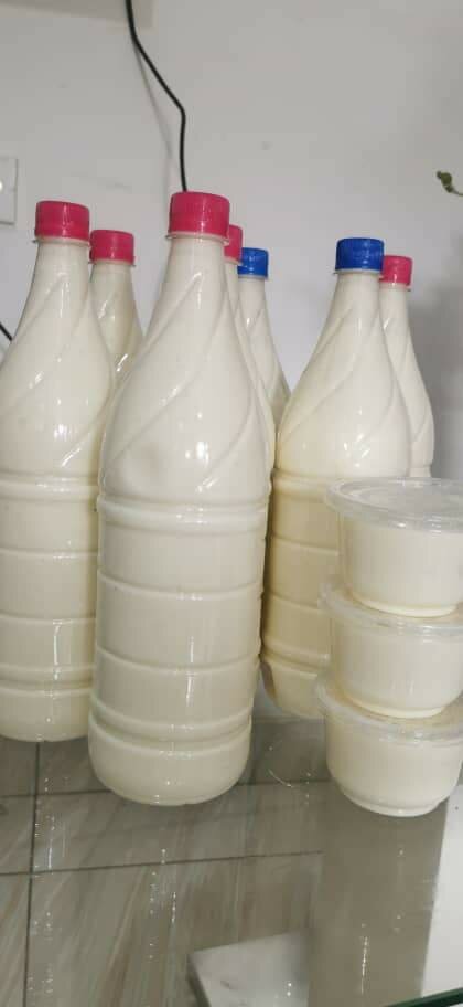 Lait caillé & Daiguai