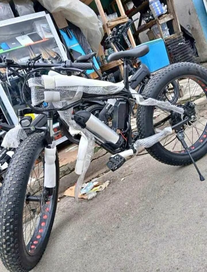 Vélo Électrique Tout-Terrain