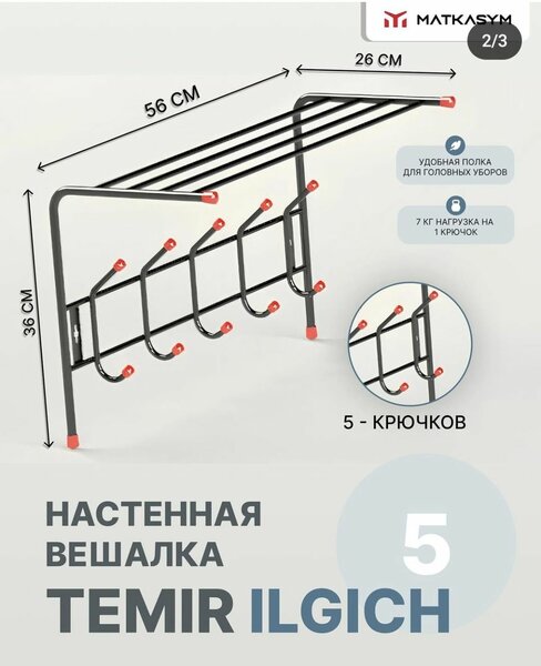 Темир илгич