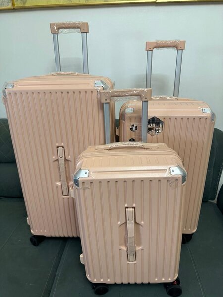 Stylish Spinner Luggage Set
