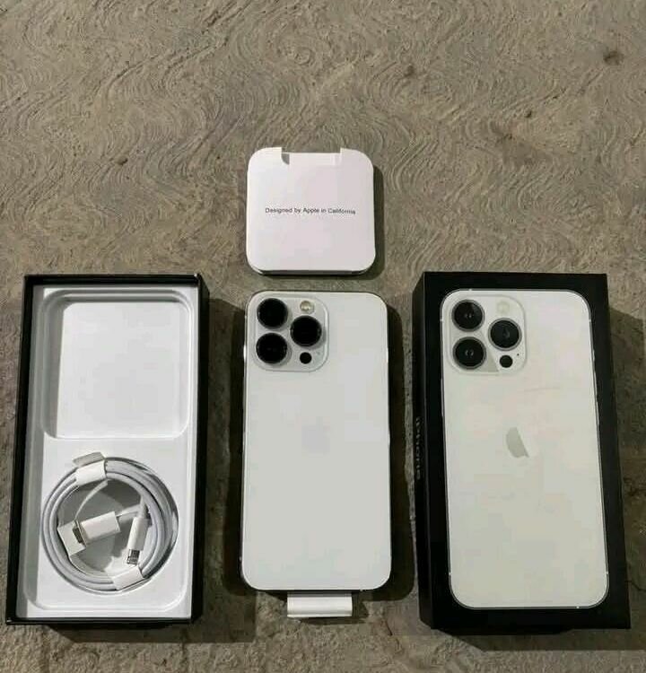 iPhone 13 Pro Max Blanc