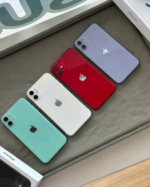 iPhone 11 - Couleurs Vives