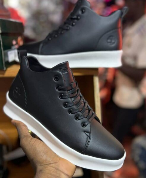 Chaussures Timberland Homme