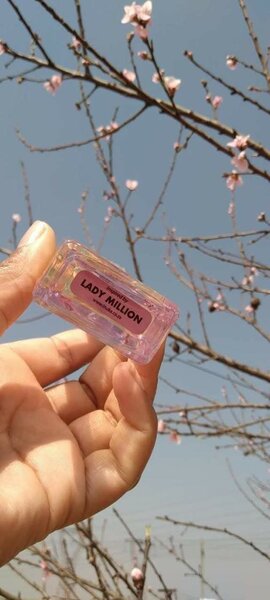 Lady million perfume