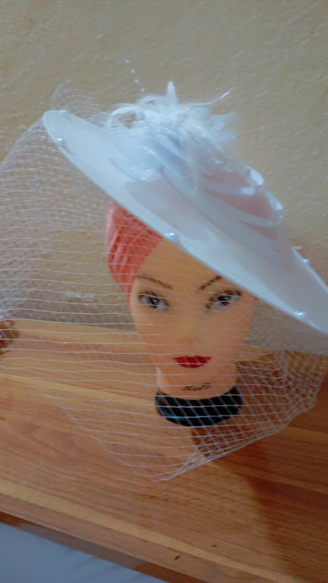 Chapeau fascinant élégant