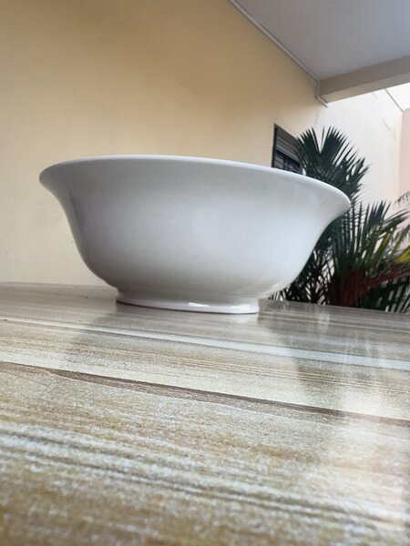 Elegant White Ceramic Bowl