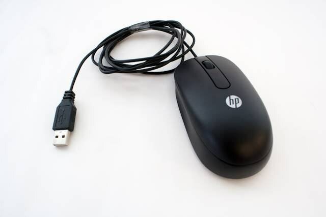 Souris filaire hp lenovo dell