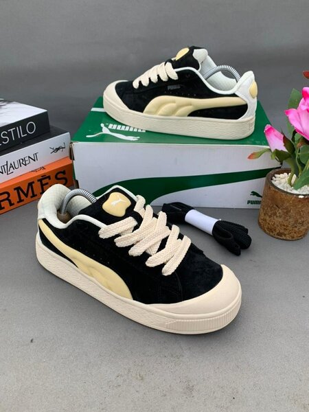 Puma avec son carton