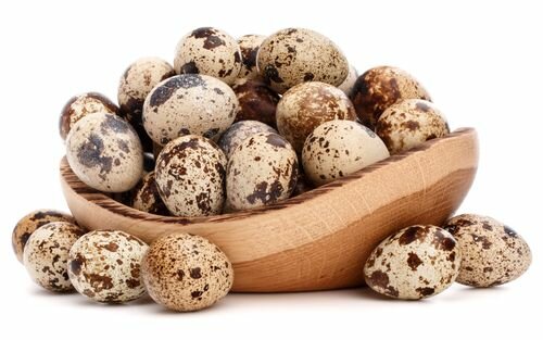 Œufs de caille frais