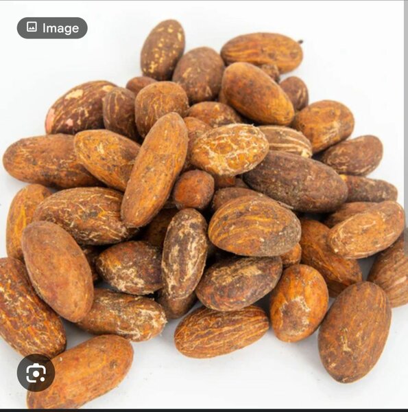 Noix de Kola Naturelles