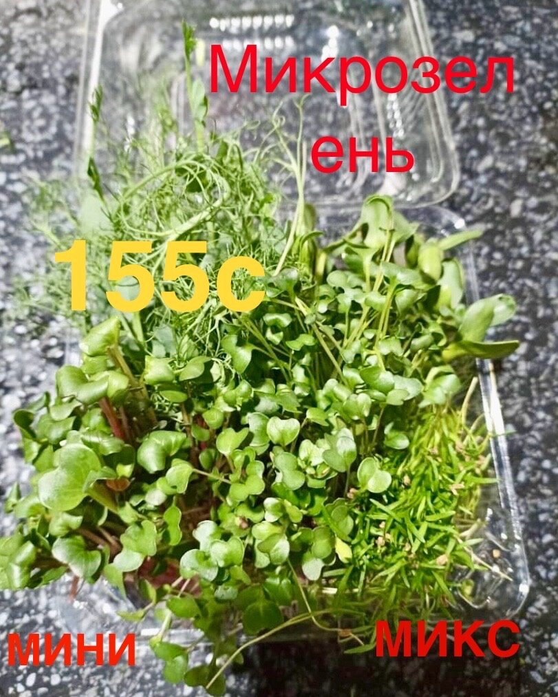 Мини микс Микрозелени