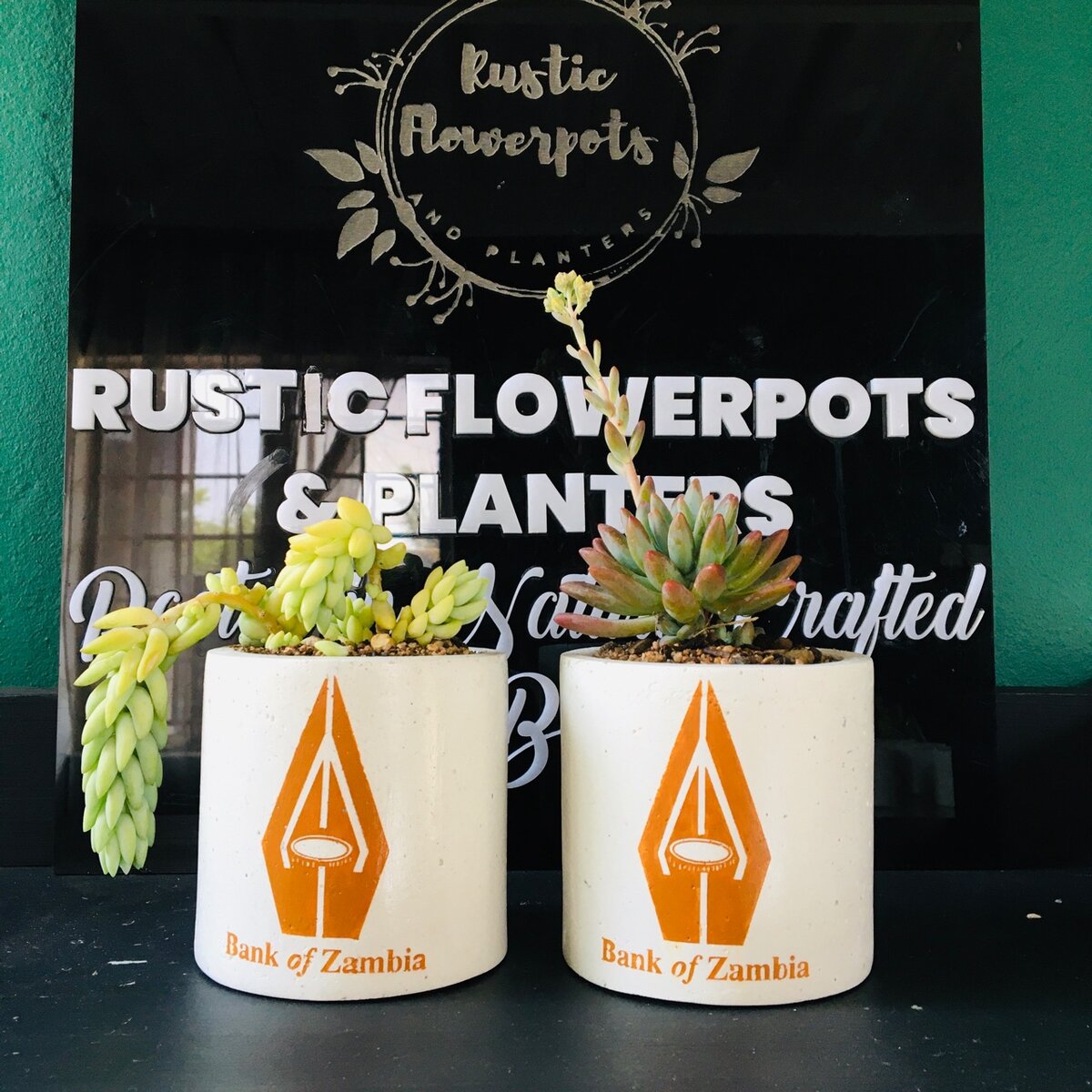 Corporate succulent gifts.