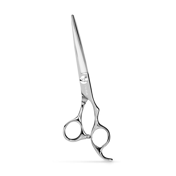 Hair shears