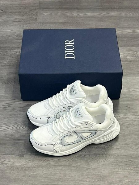 Chaussure Dior