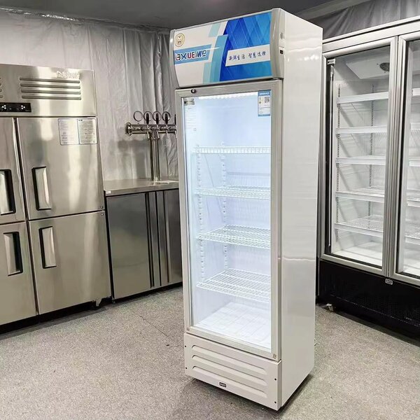 Congélateur Coffre Tropical