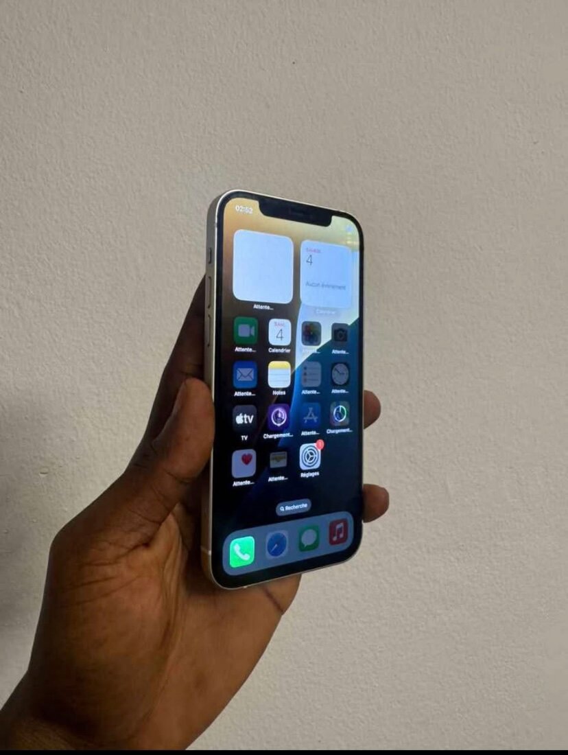 iPhone 12 Pro Max 256 Go